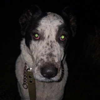 Луна с луны🌑