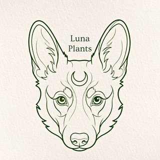 LUNA 🪴 PLANTS