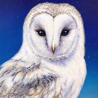 Birdy Sign ✨ Таро Астрология