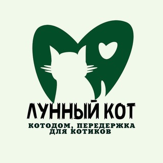 Лунный Кот 🐾