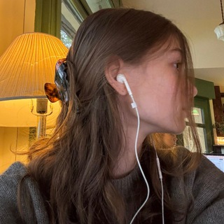 дневник лернемор