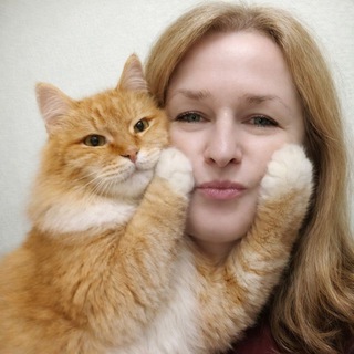 Кот. "Персиковый" блог🐈