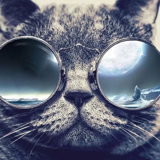 lvlLife / Интересные факты /