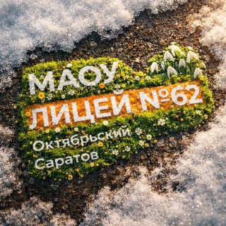 МАОУ «Лицей №62»