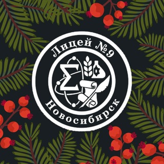 МАОУ «Лицей 9»