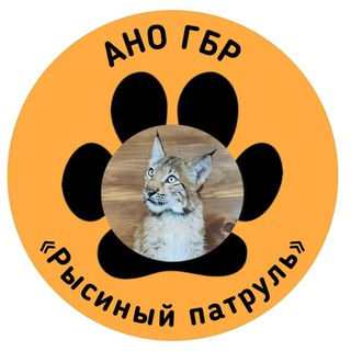 Рысиный патруль🐾