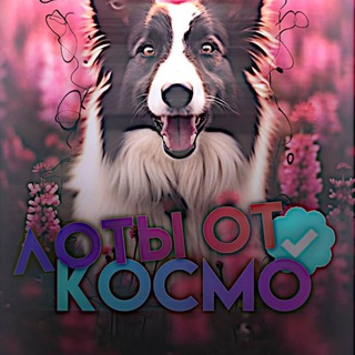 Лотерейки от космо