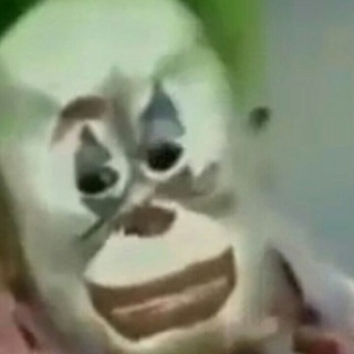 Лучшие Мемы