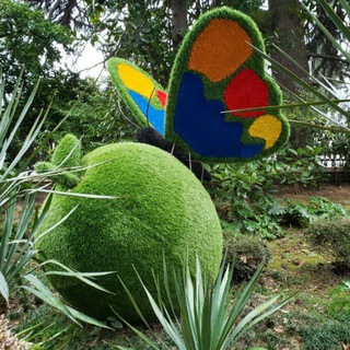 Любовь к здоровой и насыщенной жизни!