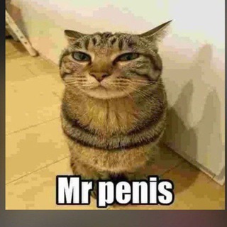 mister penis NFT