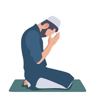 Quran. Reels. Instagram