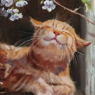 Кошачьи уши 😻