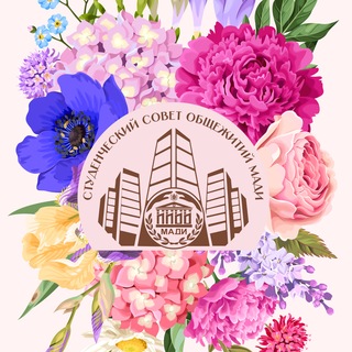 Студсовет общежитий МАДИ