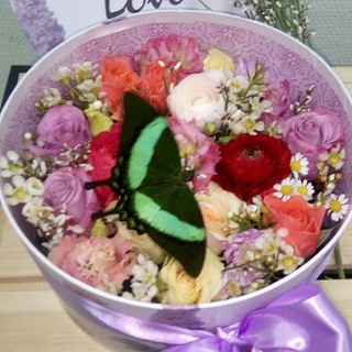 Букеты с живыми бабочками. Ферма бабочек.