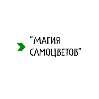 Магия Самоцветов