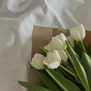 Magic blog for woman ✨