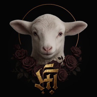 ┼ 𝕸𝖆𝖌𝖎𝖈 𝕱𝖔𝖗𝖊𝖘𝖙 ┼