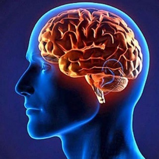 Магия Мира 🎲