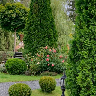 MagicGarden✨🌳🏡🌺