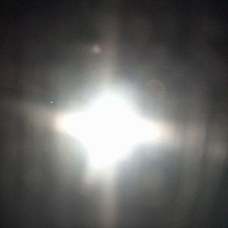 Winter Магистр PVZ !