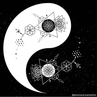 Знания, Мудрость