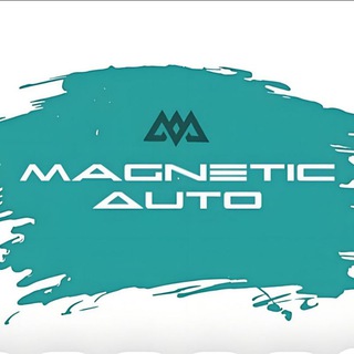 🚘 Magnetic Auto 🇨🇳🇩🇪🇯🇵