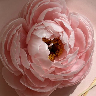 Магнолия ⚘ свечи~цветы | десерты