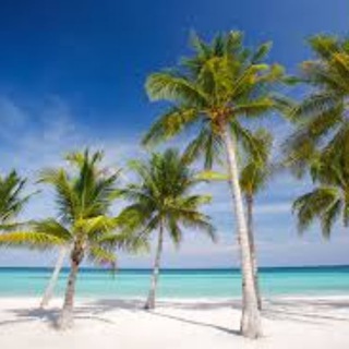 МАХНЁМ НА МОРЕ |ФИЛИППИНЫ|