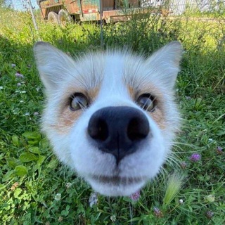 Путь Майпа 🥋