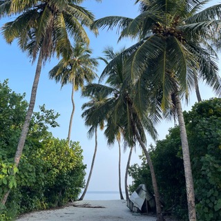 Мальдивы | Туры на Мальдивы | туры онлайн