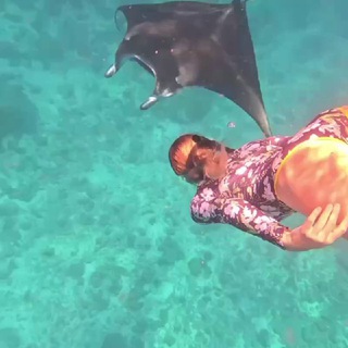 Доступные Мальдивы