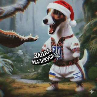 Канал Малекуса