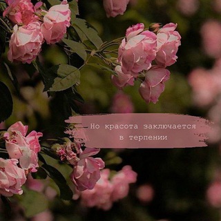 المحارب الصغير❤️‍🩹