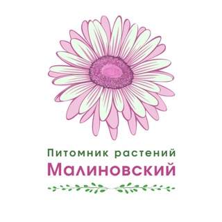 🌿Малиновский питомник растений🌿