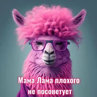 WB/бесплатно/Ozon