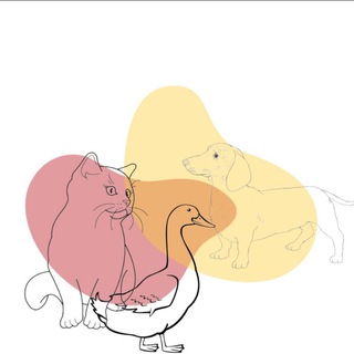 Гусь, такса и три кота