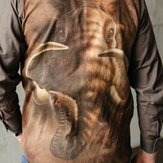 Мамонтов маршрут 🦣