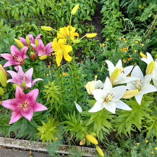 Оглянись вокруг!!! Жизнь прекрасна.