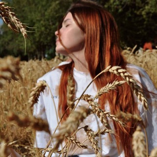 🏮МАНДАРИНКА🏮