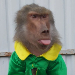 МанкиБлог🐒