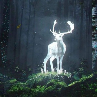 Мантия Волшебства