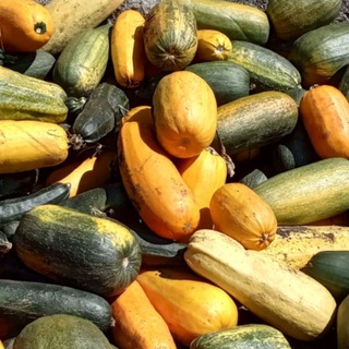 СельхозЭстетика