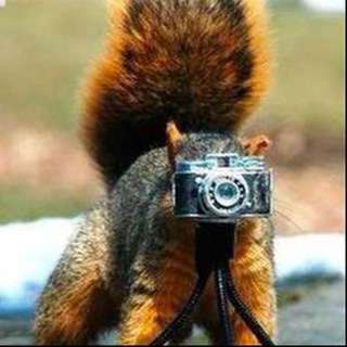 Вам как обычно?