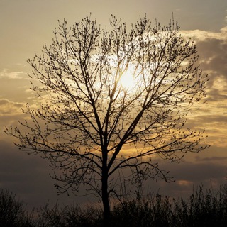 Вечерний ветер