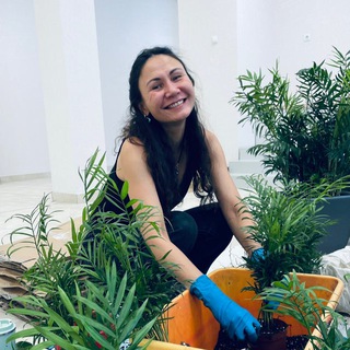 AniVerde - Зеленая Душа - Уход | Озеленение | Новосибирск