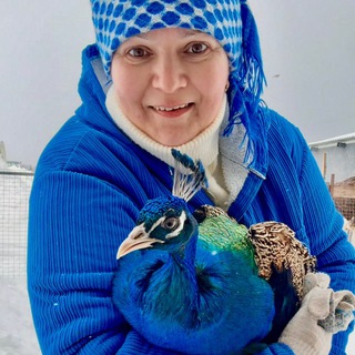 🙋‍♀Семейная ферма🦃