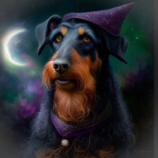 Мария Ведерникова | Ягдтерьеры, ноузворк и сказки 🌒🌕🌘🐕