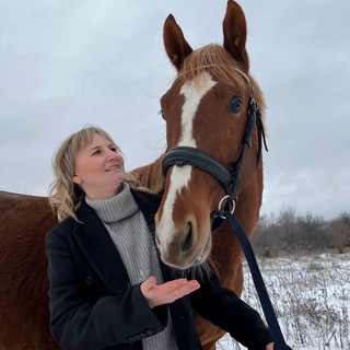 Маркетинг на коне