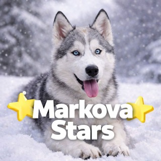 Markova Stars || Розыгрыши на звёзды