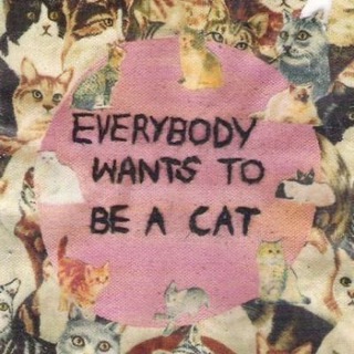 МАААРСИНИКА